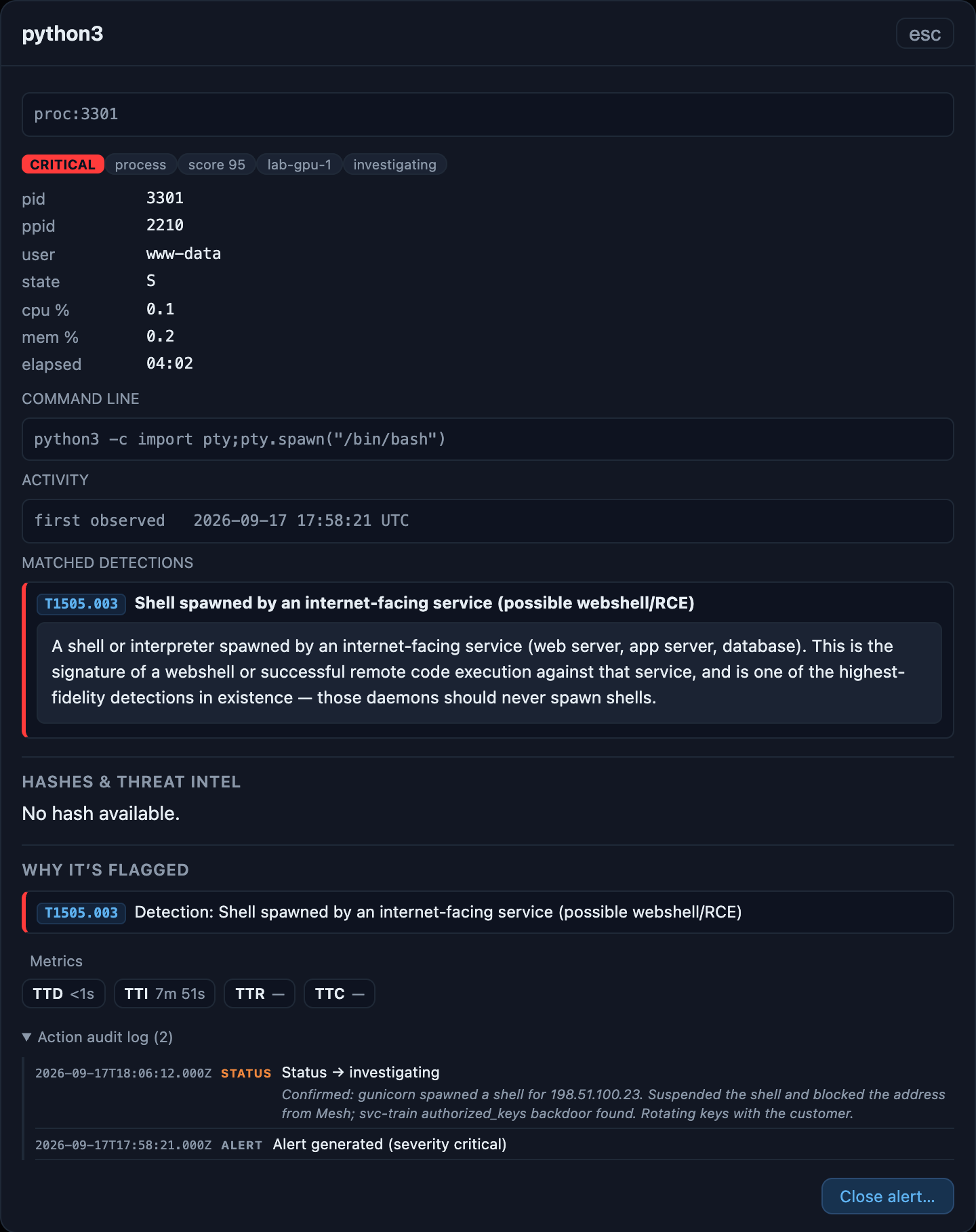 The Mesh alert detail for a Python shell spawned by a web service, matched to the critical detection “Shell spawned by an internet-facing service”, with the analyst's triage note in its action log.
